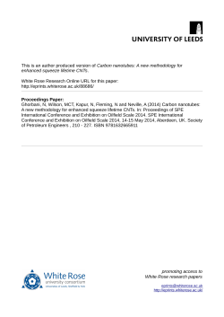 Carbon nanotubes: A new methodology for enhanced squeeze