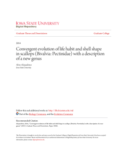 Convergent evolution of life habit and shell shape in scallops