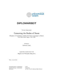 Diplomarbeit :: K. Cepak - E