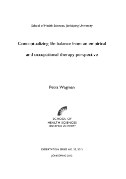 Conceptualizing life balance from an empirical and occupational