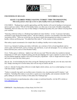 slice calories while slicing turkey this thanksgiving