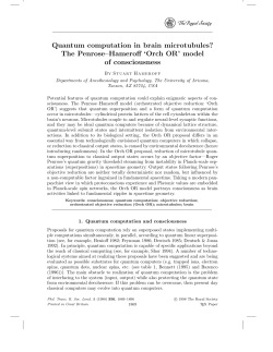 Quantum computation in brain microtubules?