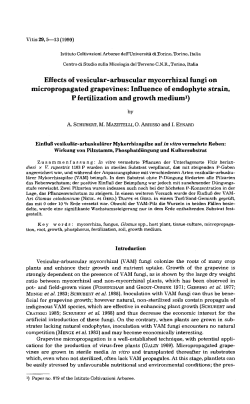 Effects of vesicular-arbuscular mycorrhizal fungi on