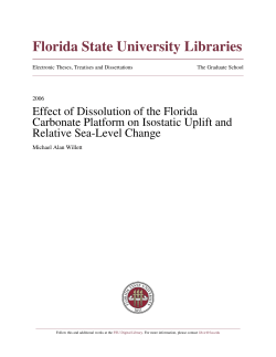 Effect of Dissolution of the Florida Carbonate Platform on