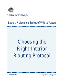 Choosing the Right Interior Routing Protocol