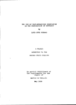 the use of root-promoting substances in the propagation of cuttings