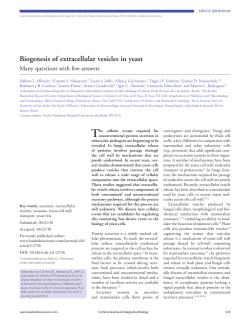 Biogenesis of extracellular vesicles in yeast