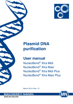 Plasmid DNA purification