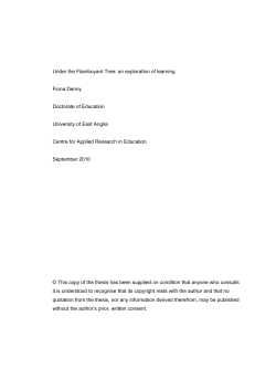 Under the Flamboyant Tree: an exploration of learning Fiona Denny