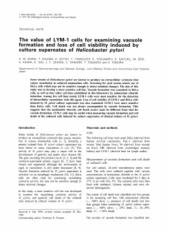 The value of LYM-1 cells for examining vacuole formation and loss