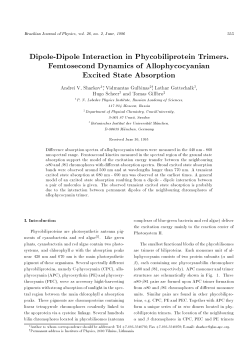 Dipole-Dipole Interaction in Phycobiliprotein Trimers. Femtosecond
