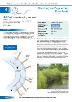 Dulais - the River Restoration Centre