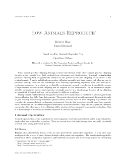 How Animals Reproduce