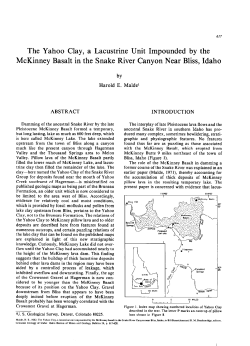 The Yahoo Clay, a Lacustrine Unit Impounded by the McKinney