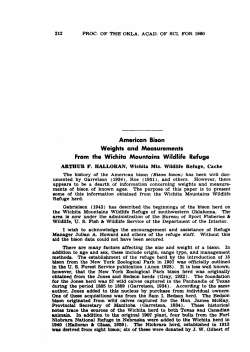 American Bison Weights and Measurements from the Wichita