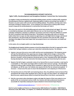 Neighborhood Integrity Initiative One Sheet