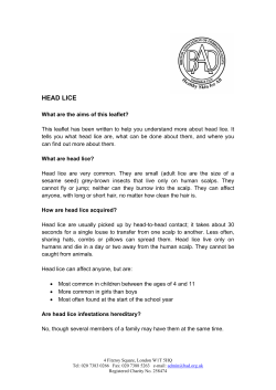 Head lice - British Association of Dermatologists