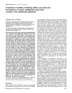 Evaluation of motility, fertilizing ability and embryonic development