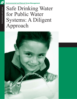 Safe Drinking Water for Public Water Systems: A Diligent Approach