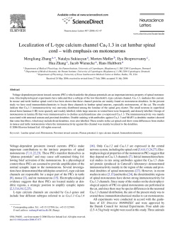 Neuroscience Letters, v 407, pp 42-47