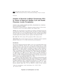 Isolation of Bacterial Artificial Chromosome DNA by Means of