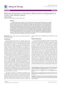 Peer-reviewed Article PDF