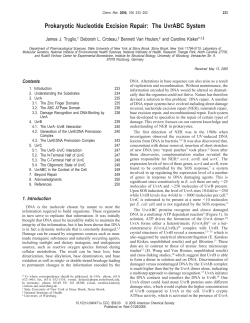 Prokaryotic Nucleotide Excision Repair: The