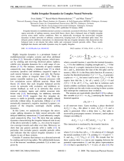 StableIrregularDynamicsPRL08