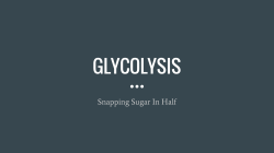 GLYCOLYSIS