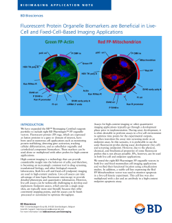 Fluorescent Protein Organelle Biomarkers are