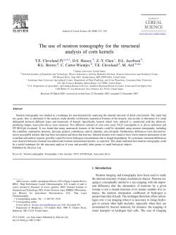 The use of neutron tomography for the structural analysis of corn