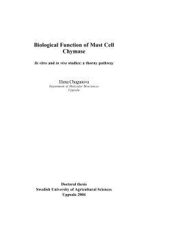 Biological Function of Mast Cell Chymase