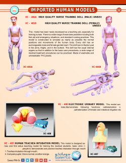 imported human models