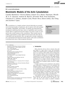 Biomimetic Models of the Actin Cytoskeleton