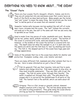 everything you need to know about..."the ocean"