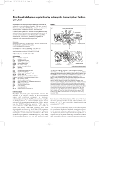 Combinatorial gene regulation by eukaryotic transcription