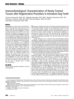 Immunohistological Characterization of Newly Formed Tissues after