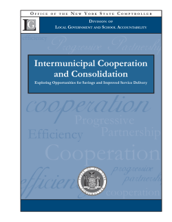 Intermunicipal Cooperation and Consolidation