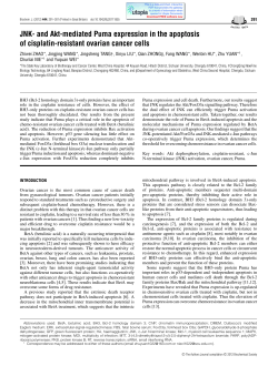 JNK- and Akt-mediated Puma expression in the apoptosis of