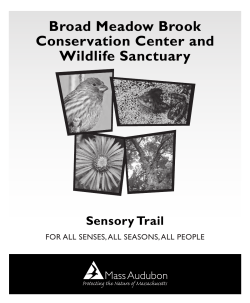 Broad Meadow Brook Conservation Center and Wildlife Sanctuary