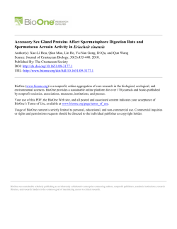 Accessory Sex Gland Proteins Affect Spermatophore Digestion Rate