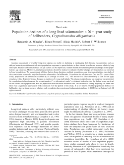 Population declines of a long-lived salamander: a 20+