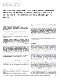 Structure and biosynthetic locus of the lipopolysaccharide outer core