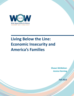 Living Below the Line: Economic Insecurity and America`s Families