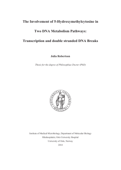 The Involvement of 5-Hydroxymethylcytosine in Two DNA