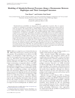 Modeling of Identity-by-Descent Processes Along a