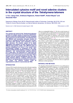 Intercalated cytosine motif and novel adenine