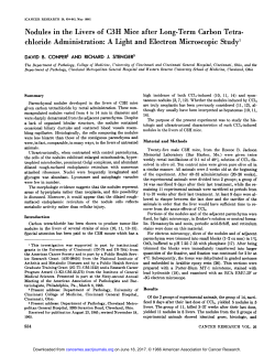 Nodules in the Livers of C3H Mice after Long