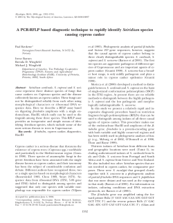 A PCR-RFLP based diagnostic technique to rapidly identify