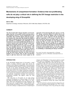 Mechanisms of compartment formation: Evidence